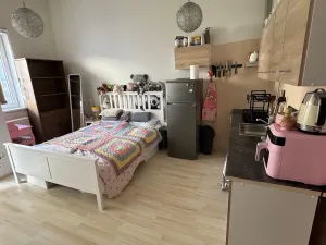 Pronájem bytu 1+kk, Olomouc, Wolkerova, 36 m2
