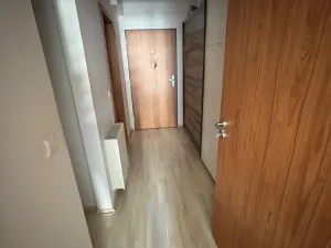 Pronájem bytu 1+kk, Olomouc, Wolkerova, 36 m2