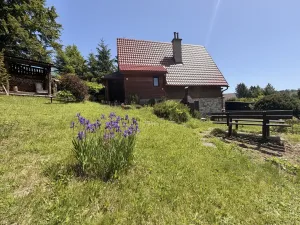 Prodej chaty, Zábřeh - Dolní Bušínov, 95 m2