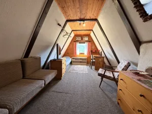 Prodej chaty, Zábřeh - Dolní Bušínov, 95 m2