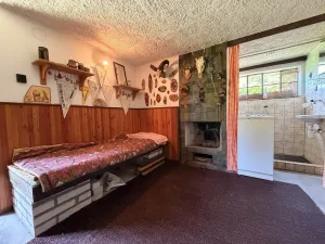 Prodej chaty, Zábřeh - Dolní Bušínov, 95 m2
