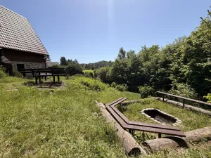 Prodej chaty, Zábřeh - Dolní Bušínov, 95 m2