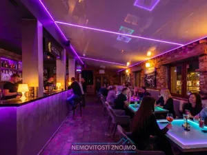 Prodej obchodního prostoru, Znojmo, Sokolská, 547 m2