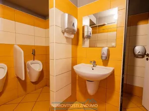 Prodej obchodního prostoru, Znojmo, Sokolská, 547 m2