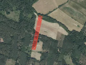 Prodej pole, Sokoleč, 11210 m2