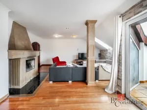 Prodej bytu 6+kk a větší, Praha - Žižkov, Hartigova, 187 m2