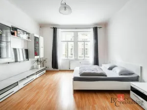 Prodej bytu 6+kk a větší, Praha - Žižkov, Hartigova, 187 m2
