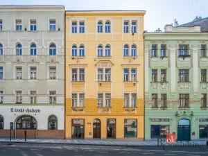 Prodej bytu 6+kk a větší, Praha - Žižkov, Hartigova, 187 m2