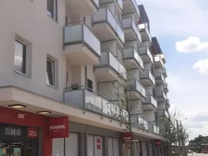 Pronájem bytu 1+kk, Olomouc, Wolkerova, 25 m2