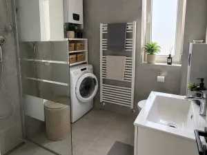 Pronájem bytu 1+1, Opava, Nákladní, 43 m2
