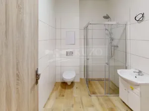 Pronájem bytu 1+kk, Příbram, Gen. R. Tesaříka, 43 m2
