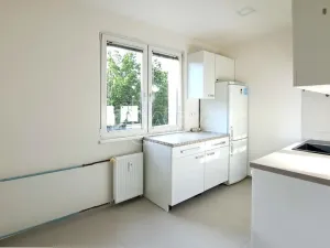 Pronájem bytu 2+1, Praha - Břevnov, Šantrochova, 54 m2