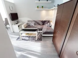 Pronájem bytu 1+kk, Praha - Chodov, Brodského, 33 m2