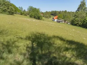Prodej pozemku pro bydlení, Sušice - Záluží, 3500 m2