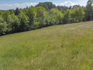 Prodej pozemku pro bydlení, Sušice - Záluží, 2272 m2