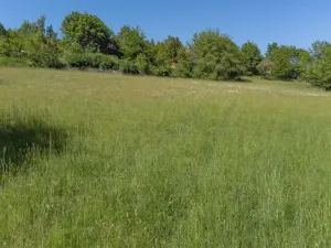 Prodej pozemku pro bydlení, Sušice - Záluží, 2272 m2