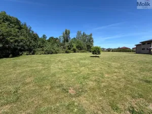 Prodej pozemku pro bydlení, Horní Jiřetín, 5. května, 919 m2