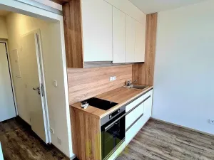 Pronájem bytu 1+kk, Olomouc, Wolkerova, 34 m2