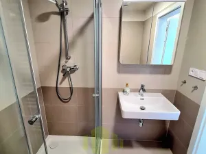 Pronájem bytu 1+kk, Olomouc, Wolkerova, 34 m2