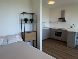 Pronájem bytu 1+kk, Praha - Černý Most, Arnošta Valenty, 38 m2