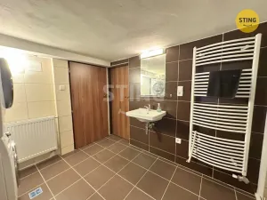 Pronájem rodinného domu, Vícenice u Náměště nad Oslavou, 230 m2