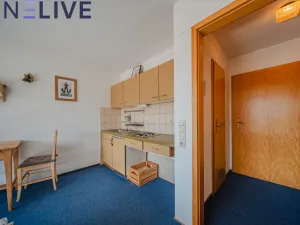 Prodej bytu 1+kk, Bahnhofstraße,Bayerisch Eisenstein,Německo, 25 m2