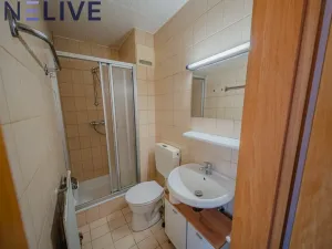 Prodej bytu 1+kk, Bahnhofstraße,Bayerisch Eisenstein,Německo, 25 m2