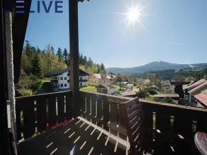 Prodej bytu 1+kk, Železná Ruda - Alžbětín, Německo, 25 m2