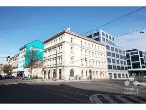Pronájem bytu 1+kk, Praha - Karlín, Šaldova, 25 m2