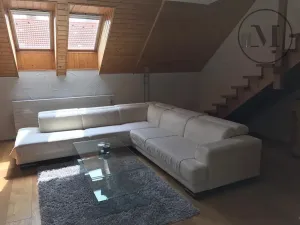 Pronájem bytu 3+kk, České Budějovice, Branišovská, 140 m2