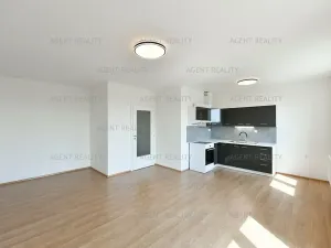 Pronájem bytu 1+kk, Praha - Holešovice, V závětří, 41 m2