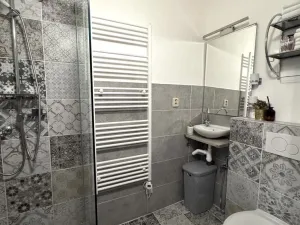 Prodej bytu 1+1, Karlovy Vary, Pod Jelením skokem, 48 m2