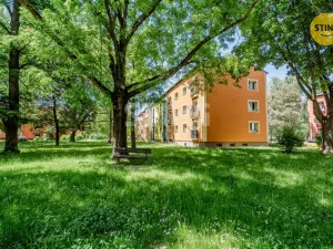 Prodej bytu 2+1, Ostrava, Jubilejní, 45 m2