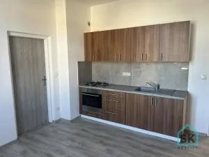 Prodej bytu 1+1, Krnov - Pod Bezručovým vrchem, K Můstku, 52 m2