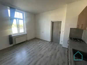 Prodej bytu 1+1, Krnov - Pod Bezručovým vrchem, K Můstku, 52 m2