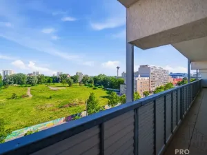 Prodej bytu 2+1, Pardubice - Zelené Předměstí, Palackého třída, 69 m2