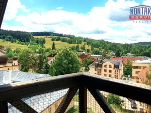 Pronájem bytu 1+kk, Železná Ruda, Belvederská, 50 m2