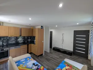 Pronájem bytu 1+1, Meziboří, Prokopa Holého, 34 m2