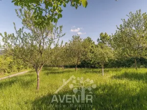 Prodej sadu/vinice, Nedašov, 1282 m2