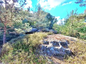 Prodej pozemku pro bydlení, Kanina, 10842 m2