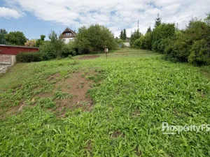 Prodej zahrady, Chlumec - Střížovice, 549 m2