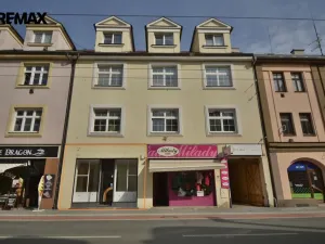 Pronájem obchodního prostoru, Hradec Králové - Pražské Předměstí, S. K. Neumanna, 58 m2
