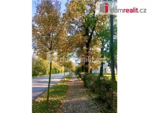 Pronájem bytu 1+kk, Libčice nad Vltavou, Letecká, 35 m2