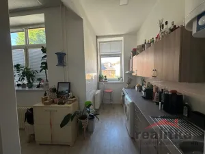 Pronájem bytu 1+kk, Opava - Předměstí, Olbrichova, 30 m2
