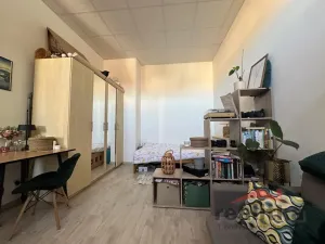 Pronájem bytu 1+kk, Opava - Předměstí, Olbrichova, 30 m2