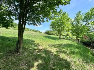 Prodej chaty, Ústí nad Labem - Severní Terasa, 12 m2