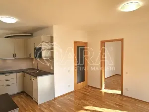 Pronájem bytu 2+kk, Praha - Žižkov, Olgy Havlové, 50 m2