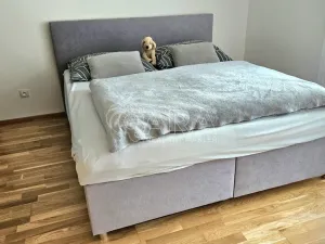 Pronájem bytu 2+kk, Praha - Žižkov, Olgy Havlové, 50 m2