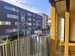 Pronájem bytu 2+kk, Praha - Žižkov, Olgy Havlové, 50 m2
