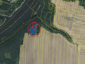 Prodej lesa, Chrášťany, 3640 m2